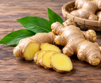 Ginger