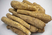 Angelica root