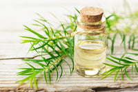 Cajeput oil